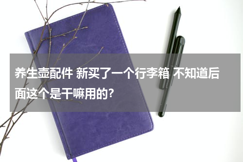 养生壶配件 新买了一个行李箱 不知道后面这个是干嘛用的？
